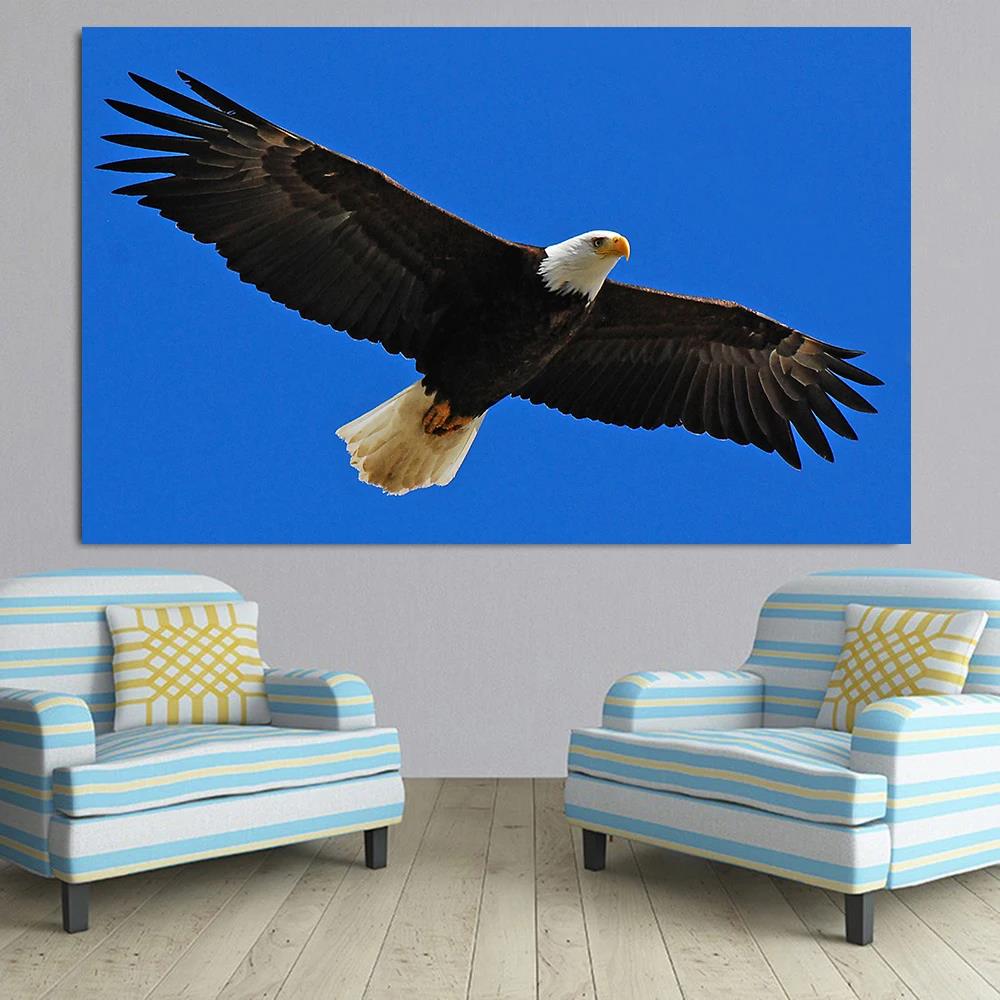 Eagle Roc Spreading Wings HD Canvas Print Poster Home Living Room Bedroom Decorative Painting Modern Simple Wall Art Animal