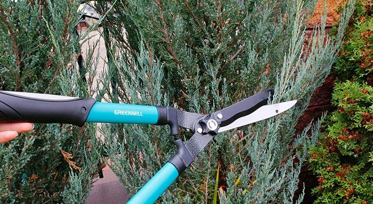 Manual Hedge Shears, Steel, 29 Cm
