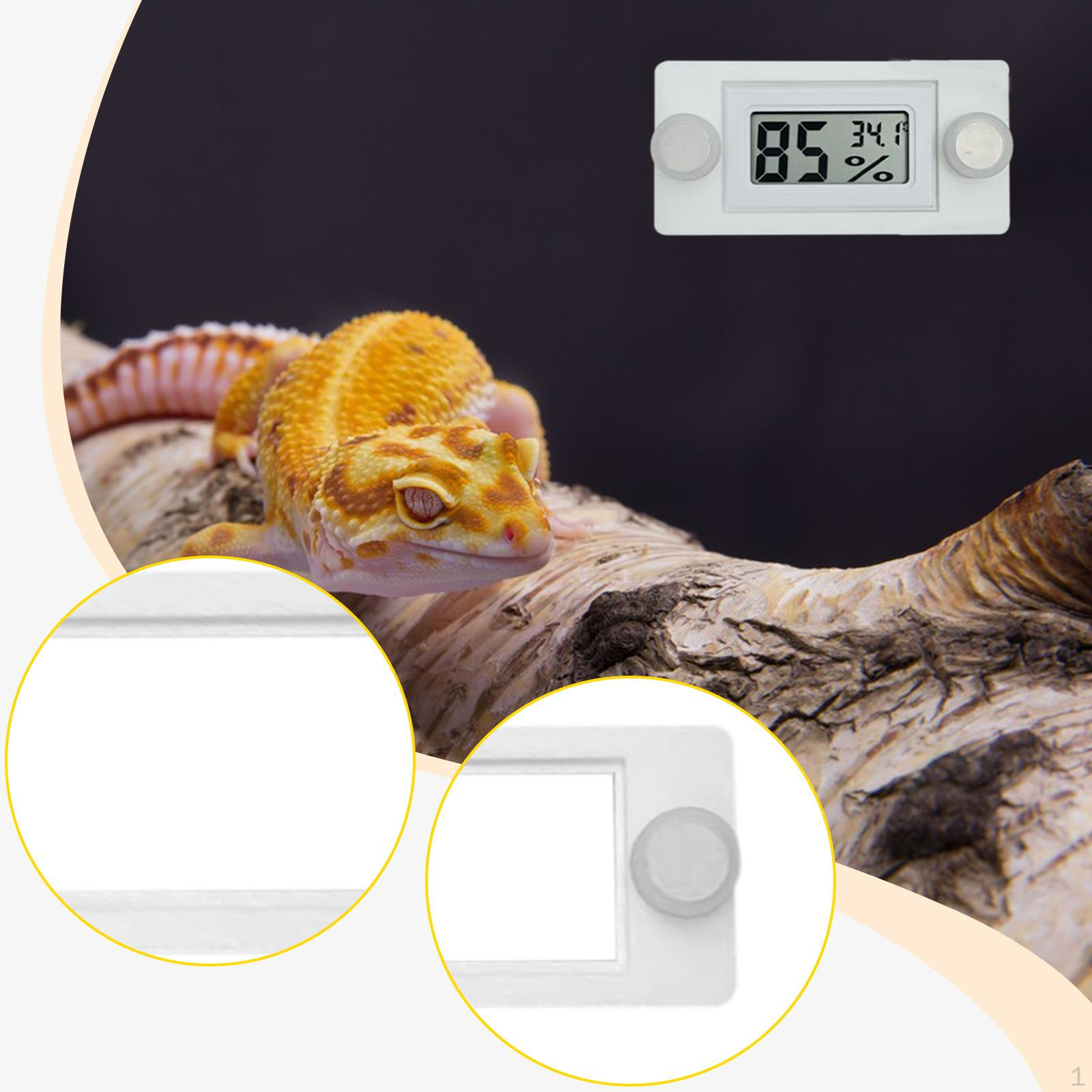 

Holder for Reptile Terrarium, Amphibian Enclosures, , Compact Accessory, 7.6 X 5.1 Cm белый