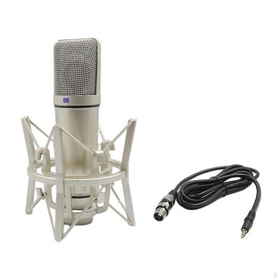 Accesorios para audio y video – Micrófonos