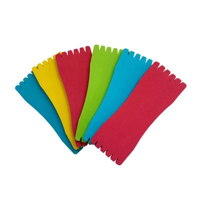 J-base Fishing Tackle Set of 6 Neatly Organized EVA Material
