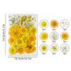 31-35PCS Dried Flower Set Mixed Multiple Pressed Flower Leaves DIY Candle Resin Nails Jewelry Pendant Crafts Art Floral Decors