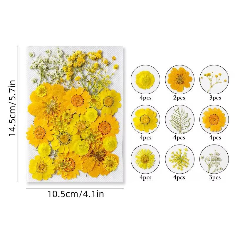 31-35PCS Dried Flower Set Mixed Multiple Pressed Flower Leaves DIY Candle Resin Nails Jewelry Pendant Crafts Art Floral Decors