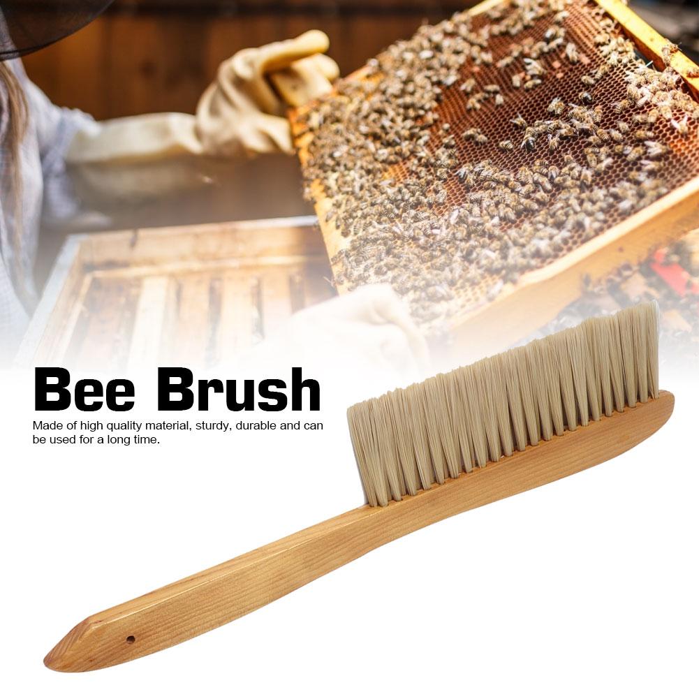 Bee Brush, Double Row of   Handle, Beekeeping Supplies, Bee Tools, Beekeeping Equipment, Wooden Bee Brush, Beekeeping Tool