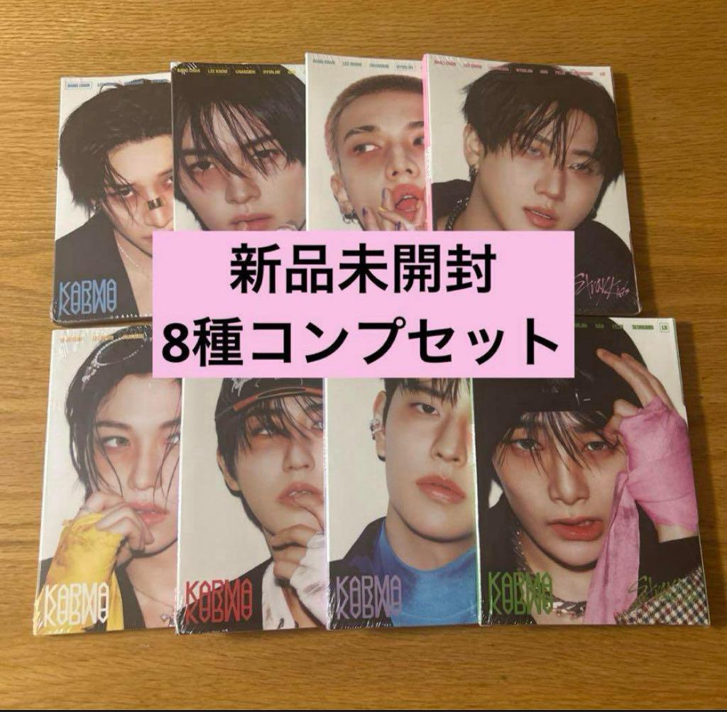 [USED] stray kids karma accordion