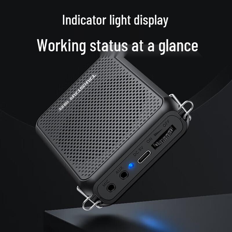 TAKSTAR E126A Portable Voice Amplifier CN plug (adapter included)