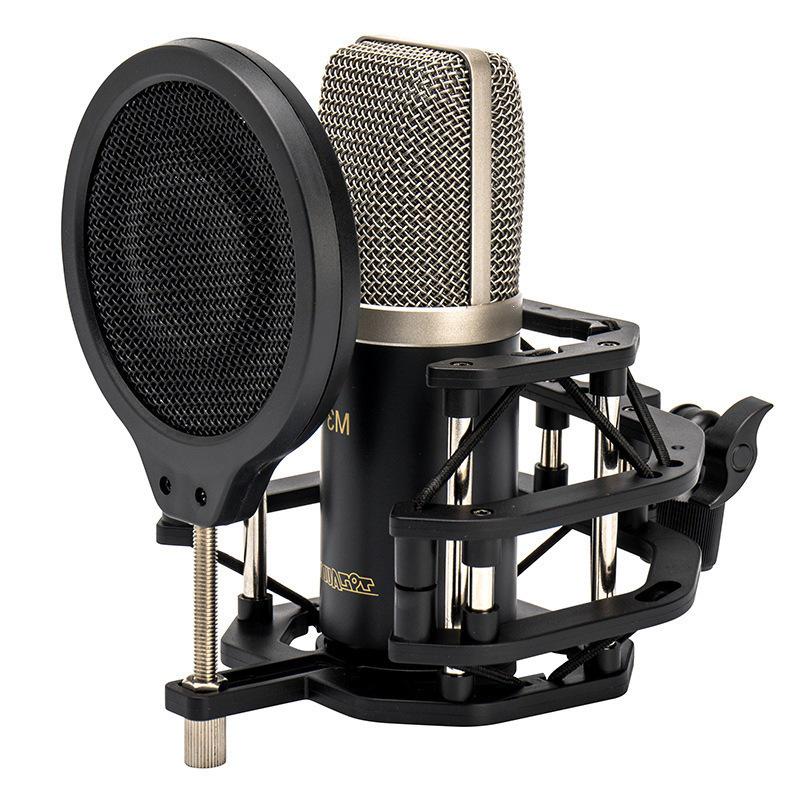 

Beijing 797Audio M3 Professional Condenser Microphone for Recording, Streaming, and Live Broadcasts чорний