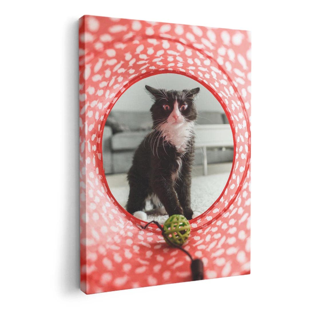 

Art 420mm x Wall Wooden Stylish Interior Animal Photo Panel, Painting, Decoration, igsticker, 297mm, A3, Photo, Hanging, Frame, Decor, 023080, Cat,