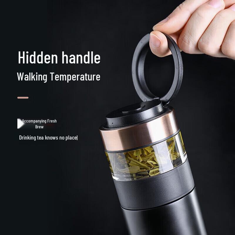 Temake Double-Layer Glass Tea Infuser Bottle