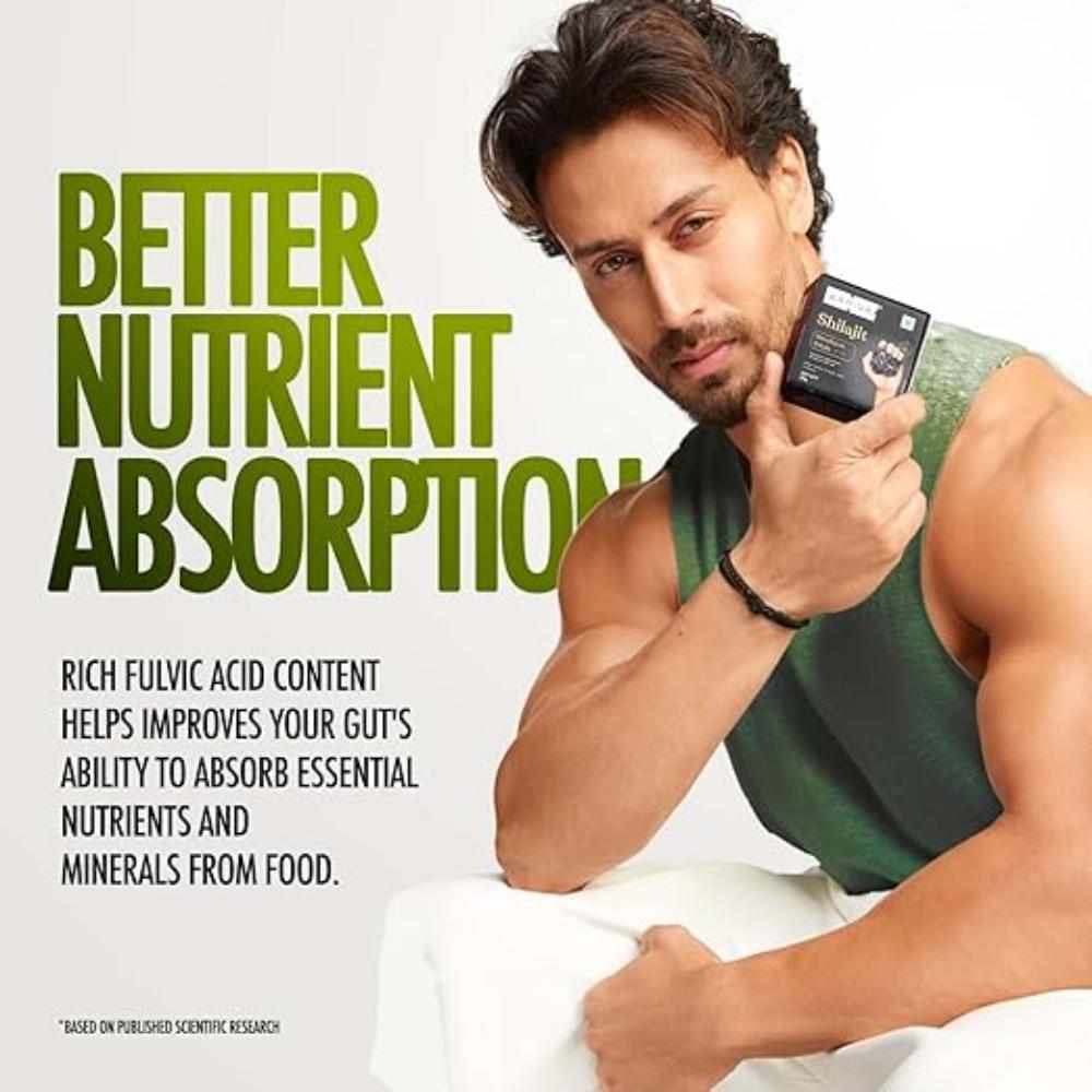 Himalayan Shilajit/Shilajeet Resin 40g - For Endurance and Stamina | Contains Lab Report