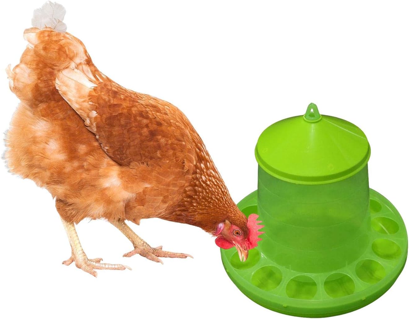 2kg Automatic Poultry Feeder Feed Bucket Farm Animal Barrel Chicken Feeder Waterer For Chick Livestock Peacocks Turkey Bird