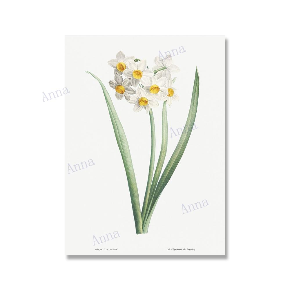 

Ретро Квіти Ілюстрація Настінне Мистецтво Плакат Ботанічний Картина На Полотні Плакат Друк Настінне Художнє Картина для Декору Настін Вітальні 21x30cm No Framed