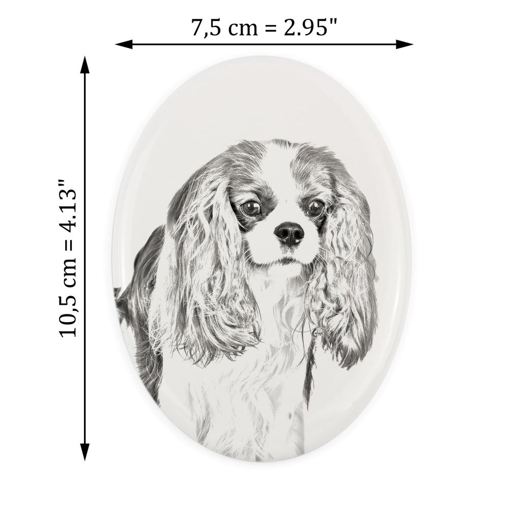 Cavalier King Charles Spaniel - Commemorative Plaque with a Photo of a Dog, Tombstone with a Print, Personalized Oval Plaque from the Art-Dog Brand