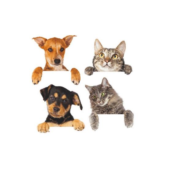 4Pcs/Sheet Sticker Cartoon Shape Removable PVC Home Wall Sticker for Living Room