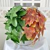 Bonsai Greenery Faux Featuring Maple And Alocasia Leaves For Hotel Decorate Room