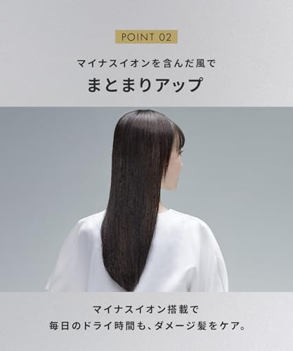 SALONIA Speedy Ion Hair Dryer, High Airflow, Fast Drying, Lightweight, Negative Ion Hair Dryer SL-013AGR, Gray [Amazon.co.jp Exclusive]