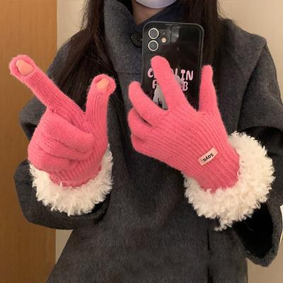 Trendy Touch Screen Knit Gloves for Women Winter Warm Plush Edge Gloves Windproof Sport Cycling Mittens Plush Thickened Soft Wrist Full Finger Gloves