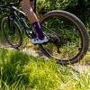 Schwalbe Rick XC MTB Schwarz 29x2.40 Reifen,