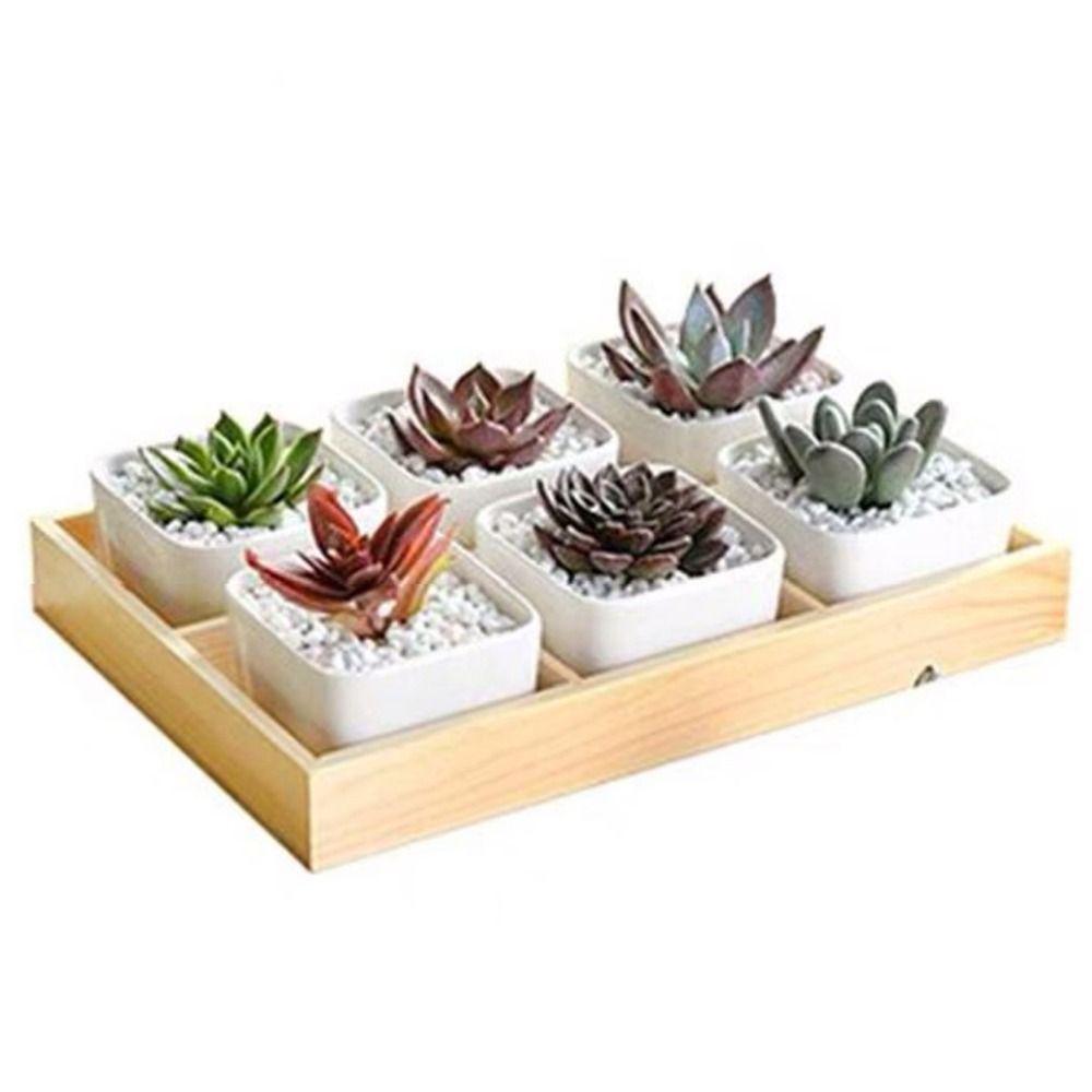 Multifunctional Succulent Flowerpot Tray Multi-grids Desktop Sundries Organizer Storage Box