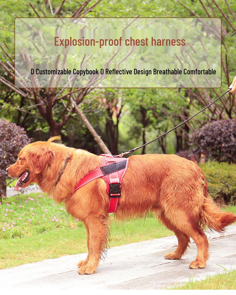 Personalized Reflective Dog Harness for Large Dogs