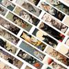 30pcs Japanese Cat Bookmark Cartoon Cute Animal Decoration Reading Page Mark Book Mark Page Holder Student Supplies Message Card