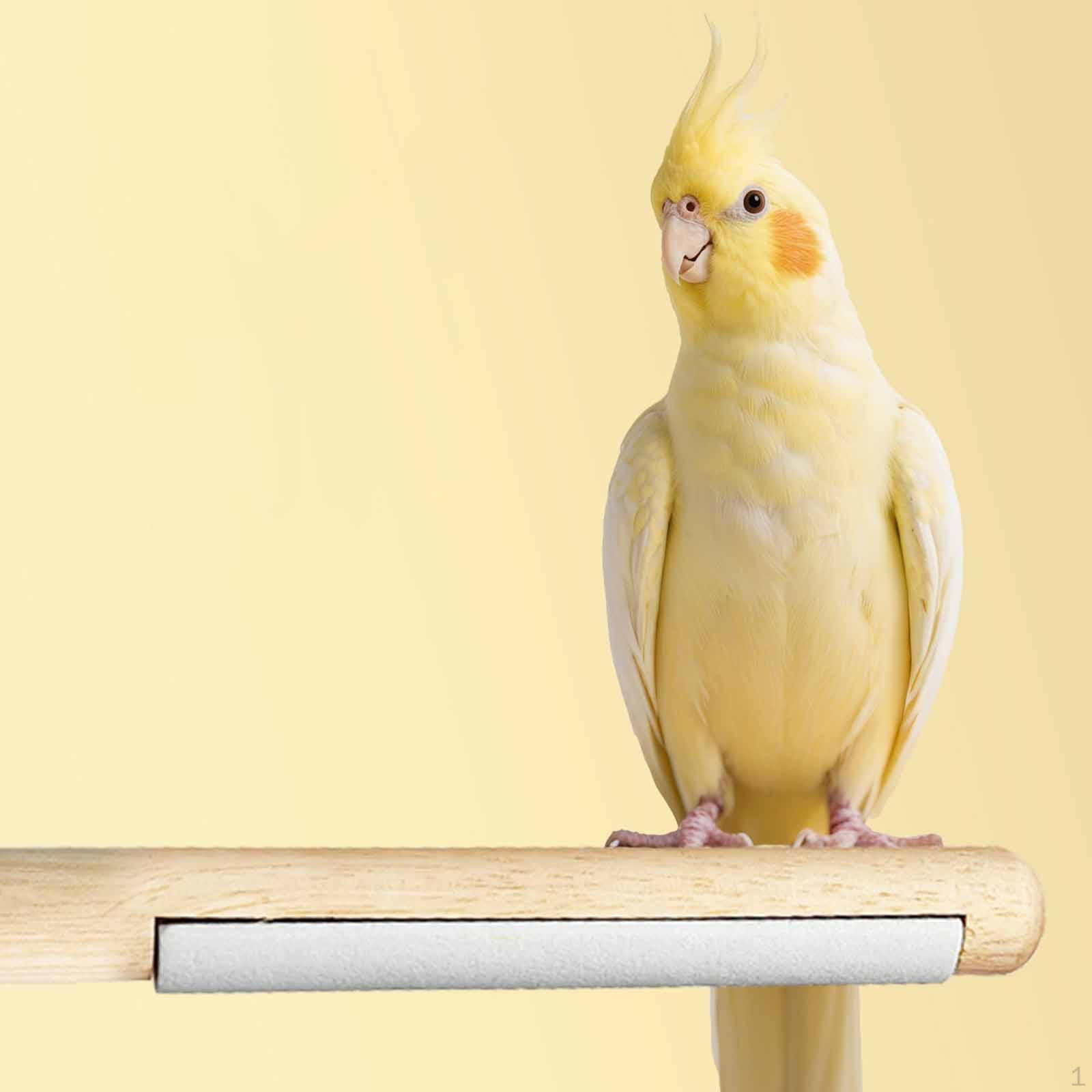 

Bird Perch Chewing Toy Grinding Claw Play and Rest Parrot Stand for Cockatiels Cockatoo белый