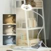 USB Clip On Table Light Hands Free Magnifying Glass Desk Lamp for Close Work 3 Color Modes & Adjustable 10 Brightness