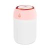 Portable Mini USB Air Humidifier Aroma Diffuser LED Cool Light 330ml Mist for Room Home Car Plant Purifier