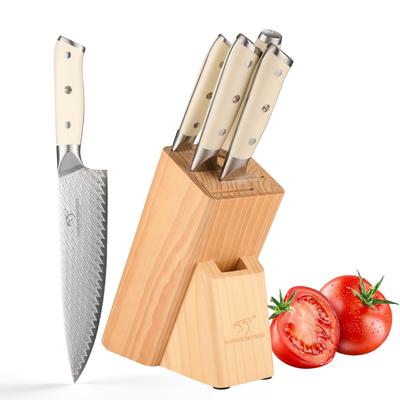 Knife Set Nanfang Brothers VG10 Steel Core Damascus Steel Set Santoku Paring Knife with Sharpening Good Cutting Cuts Fruits Cooking for Home