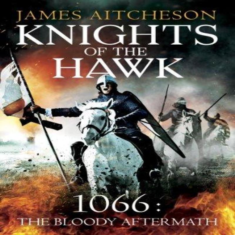 Knights of the Hawk by James Aitcheson Paperback Book 9780099558293