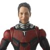 Avengers Series Marvel Legends Action and the 5.0 6-inch Figure/Ant-Man (Ant-Man Wasp)