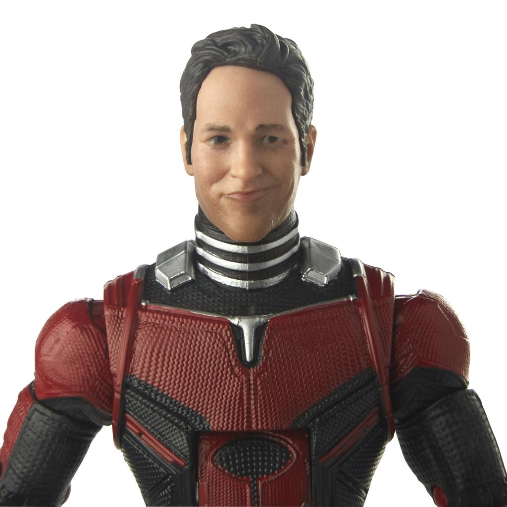 Avengers Series Marvel Legends Action and the 5.0 6-inch Figure/Ant-Man (Ant-Man Wasp)