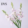Reusable Fake Gladiolus Artificial Flower Realistic Silk Home Office No Watering Wedding Party Indoor Outdoor Faux Bloom Decoration Lifelike