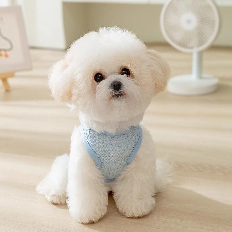 Summer Vest for Small Dogs and Cats – Lightweight Leash-Friendly Attire for Bichon, Teddy, Pomeranian, and Yorkshire