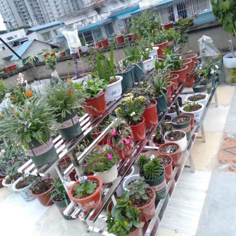 Stainless Steel Tiered Flower Pot Stand