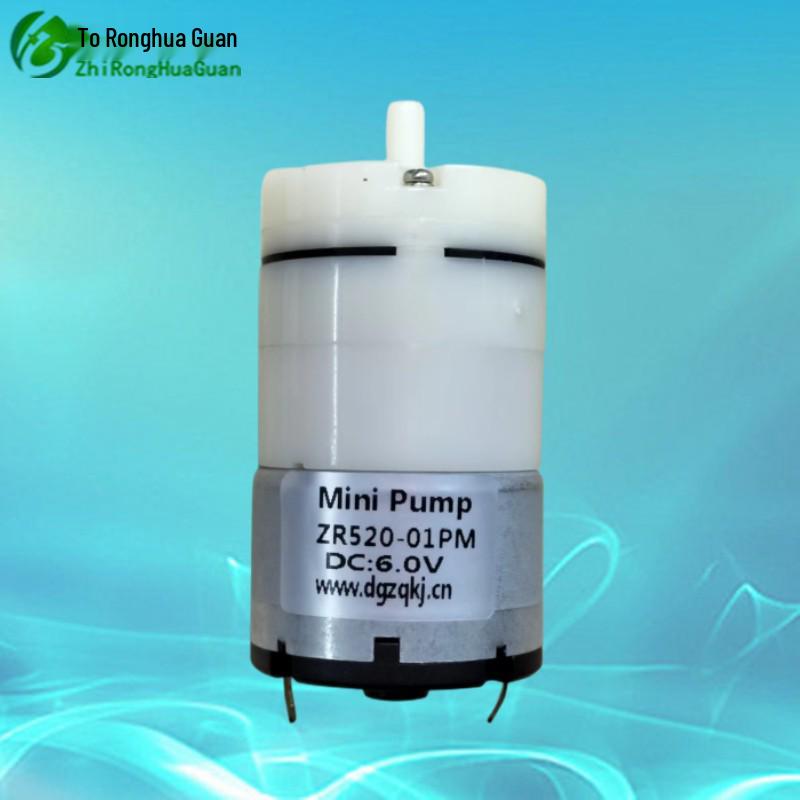 ZR520 Ronghuaguan Silent 12V Inflator & 6V Micro Booster Air Pump
