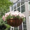 8/10/12/14 Inch Metal Hanging Basket For Plants Flower Garden Pot Planters Round Wire Plant Holder Pots For Home Balcony Decor
