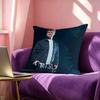 AAlex WWarren Pillow Case Square DoubleSided Sofa Cushion Cover Bedroom Bedside Pillow