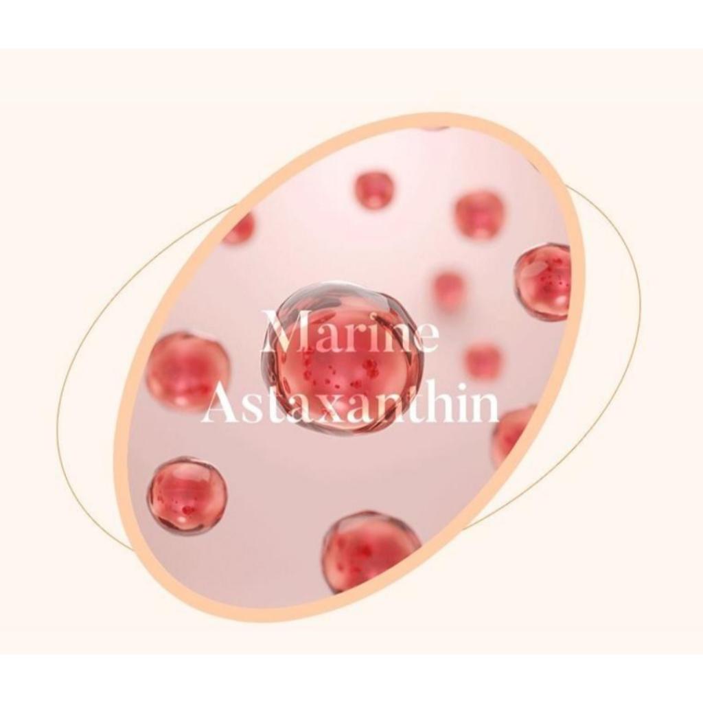[SUNGBOON EDITOR]  Active Marine Astaxanthin Capsule Serum