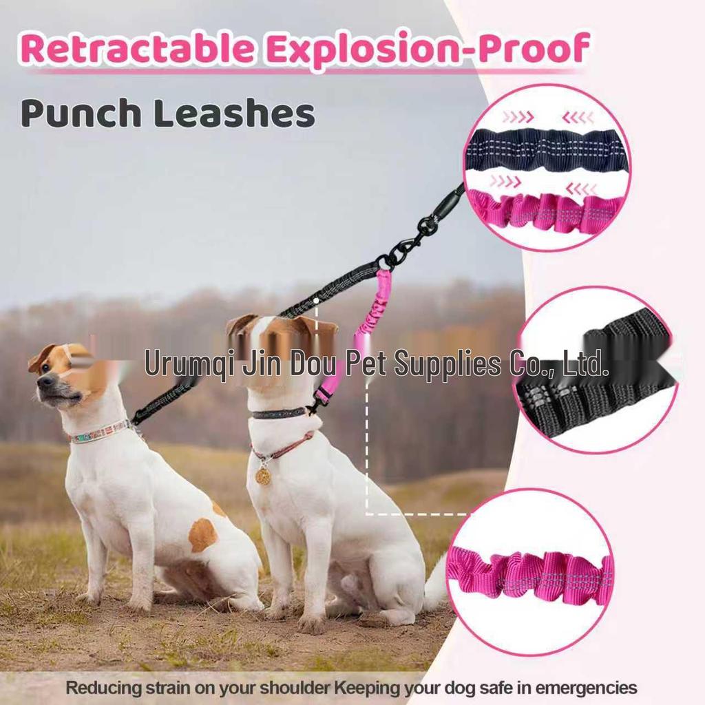 Automatic Retractable No-Choke Dog Leash for Walking Two Dogs