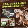 BANDAI SPIRITS (Bandai Spirits) Planosaurus Tyrannosaurus Color Coded Plastic Model