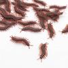 10 Pieces Prank Fake Roaches Look Real Plastic Trick Joke Toys Scary Insects Realistic Bugs Gifts Novelty Cockroach