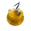 SEVA Explosion-Proof LED Platform Light