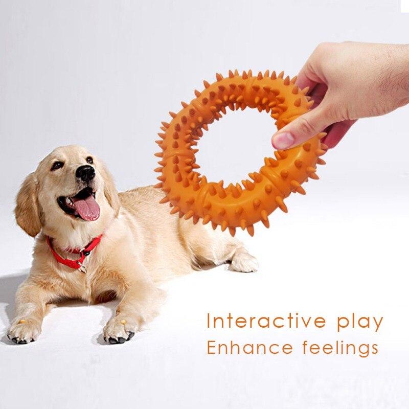 dog rubber ring