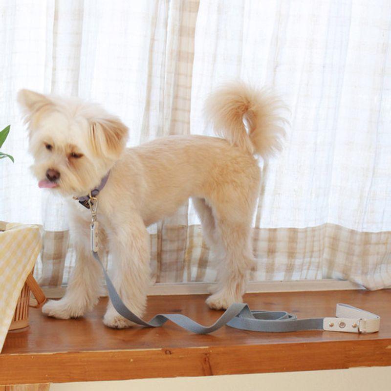 MAISON DE MIU Running Mate Leather&Webbing Lead_White/Light Blue