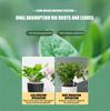 500ml Insecticidal Water Emulsion Spray for Plants Indoor Use Suitable for Aphid Control and Pest Management On Flowers and Garden Plants