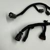 2Pcs  Ignition Coil Wire Harness for 2001-06 Santa Fe XG350 Amanti 3961039030 3961039020