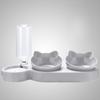 1SET cat bowl dog bowl cat food basin anti-knock automatic water dispenser feeder non-wet mouth pet bowl
