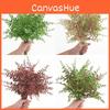 Artificial Exaltata Nephrolepis For Indoor Outdoor Decor And Studio Photography
