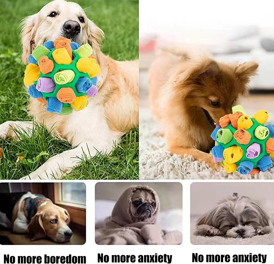 QQ Bouncy Rainbow Sniffing Ball: Interactive Foraging and Training Toy for Cats and Dogs